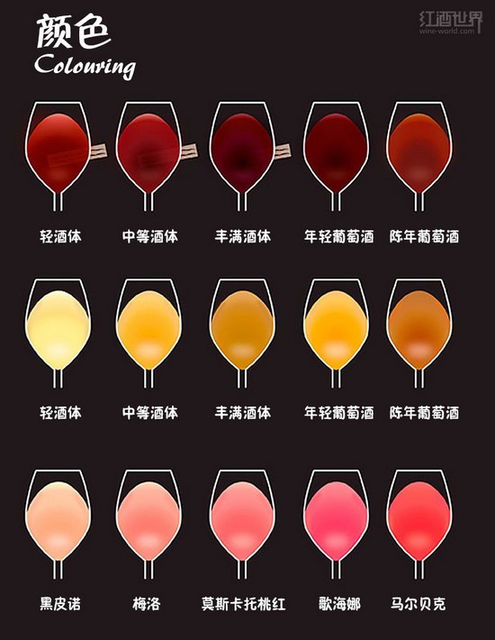 圖解關于葡萄酒的基礎小(xiǎo)知識 (5)
